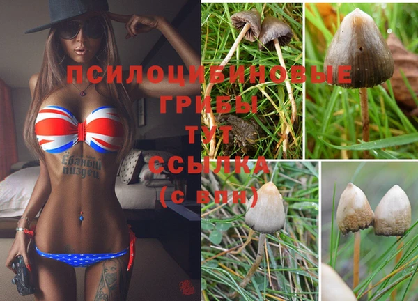 гашиш Балабаново