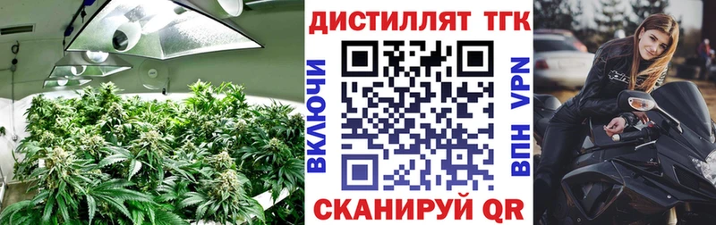 Купить где  Балабаново  Дистиллят ТГК вейп 